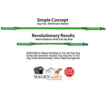 Shorter No Pull Leash - Urban Walk'r